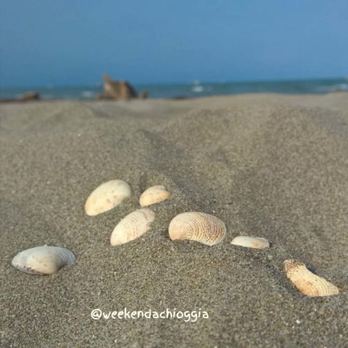 foto sulla spiaggia