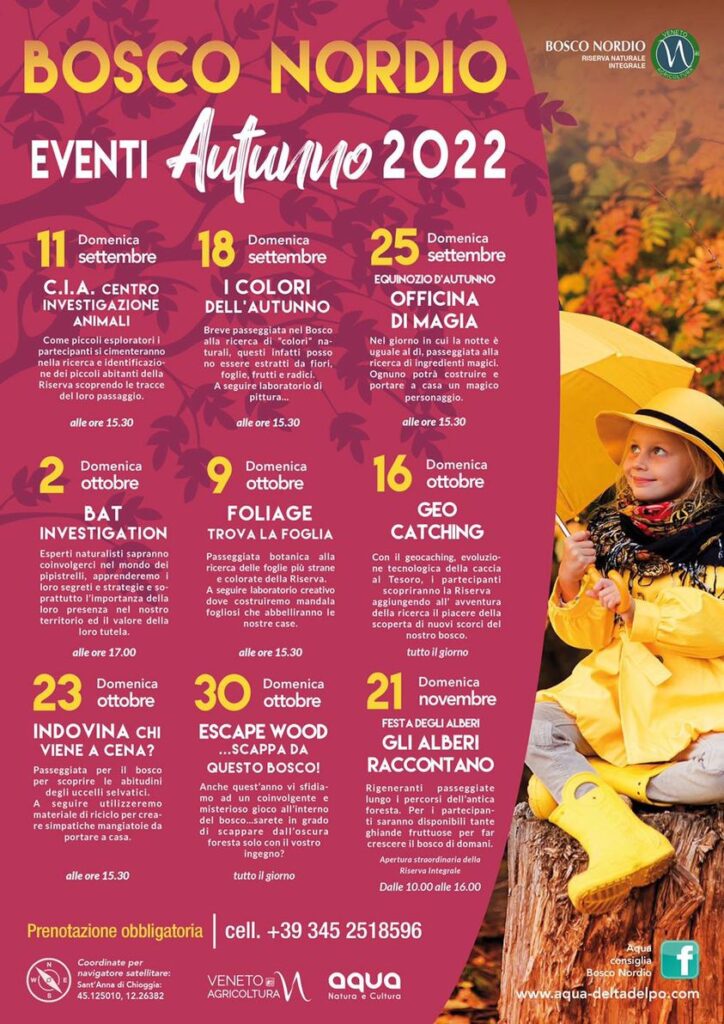 halloween nel bosco